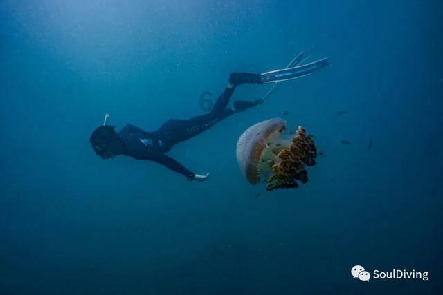 加入药剂师就业前景怎么样?知识星球,探索无限的知识宇宙